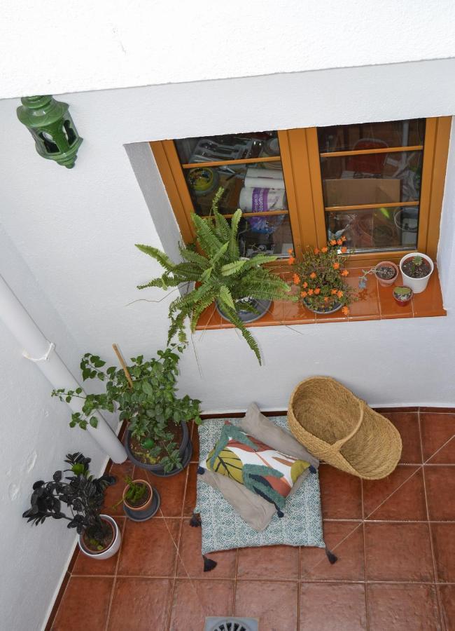 Casa Tipica Y Terraza, Maison Andalouse, Typical House With Rooftop Альмуньекар Экстерьер фото